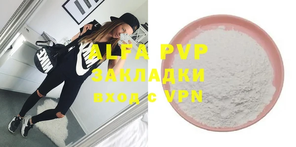 хмурый Белокуриха