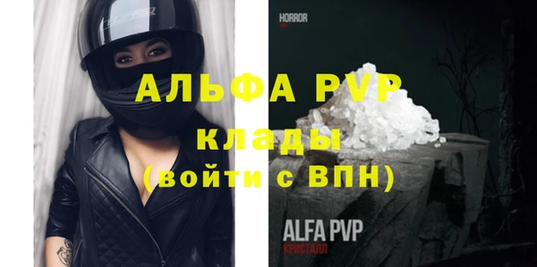 хмурый Белокуриха