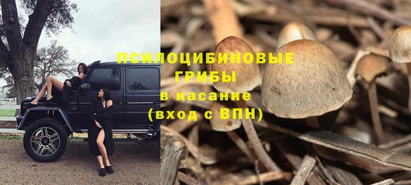 альфа пвп Алагир