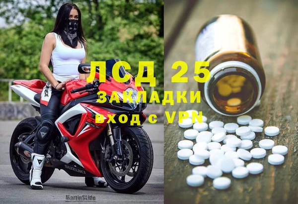 хмурый Белокуриха